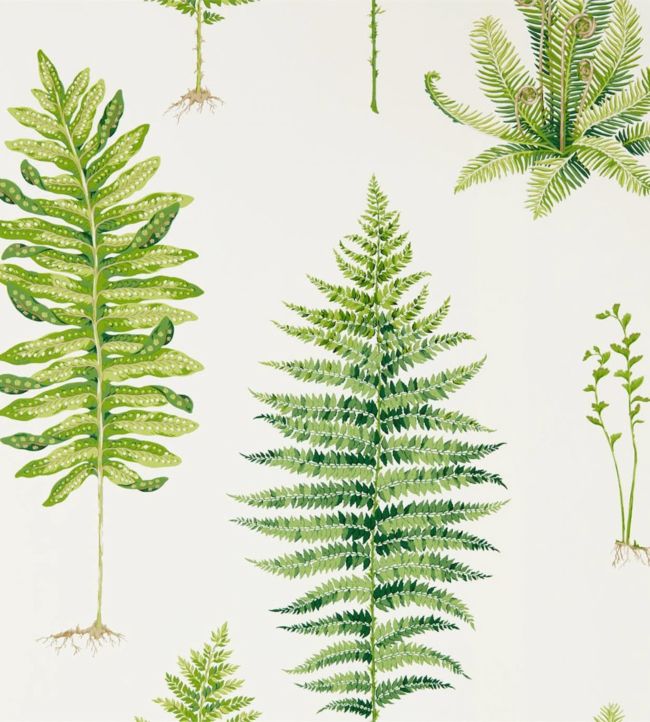 Fernery Wallpaper - Botanical Green - DGLW216633 - Sanderson - Premier Wallcovering