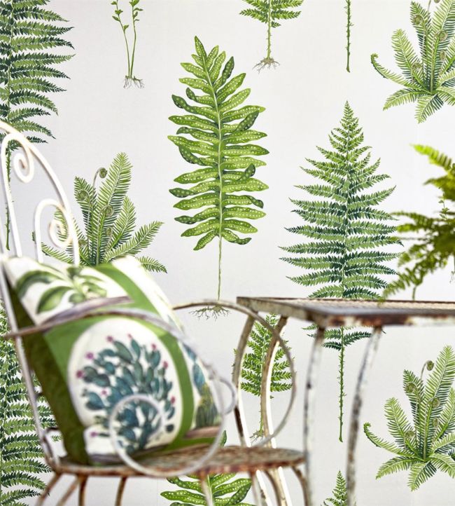 Fernery Wallpaper - Botanical Green - DGLW216633 - Sanderson - Premier Wallcovering