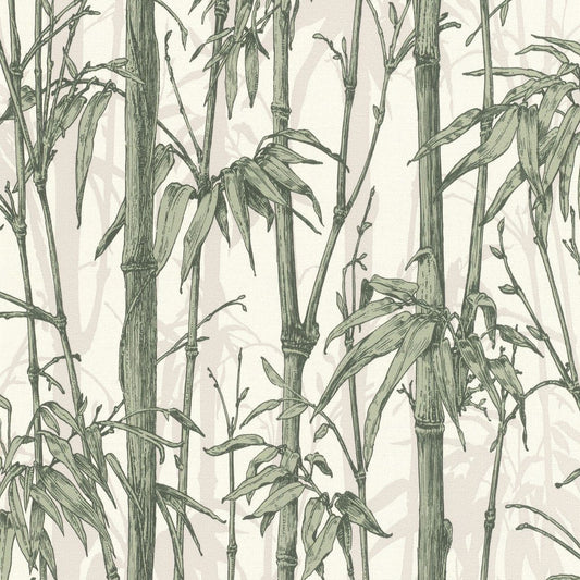 Florentine III Bamboo Wallpaper - Green - Rasch - 484847 - Premier Wallcovering