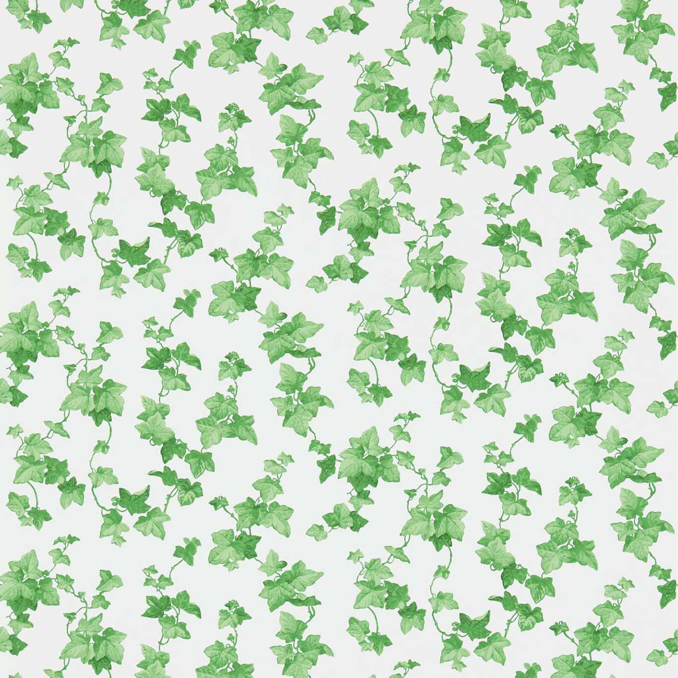 Hedera Wallpaper - Green - DVIN214593 - Sanderson - Premier Wallcovering