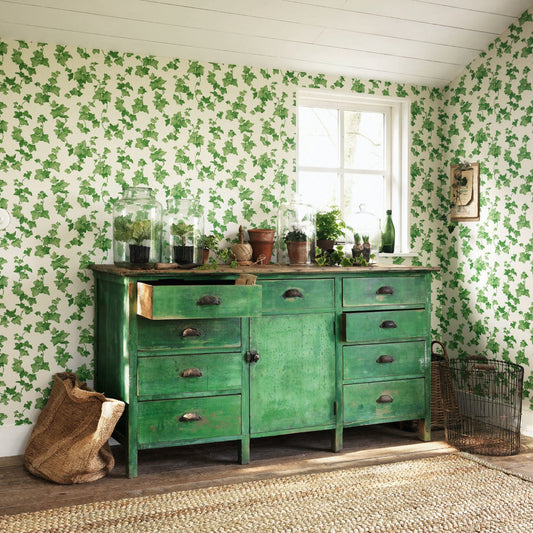 Hedera Wallpaper - Green - DVIN214593 - Sanderson - Premier Wallcovering