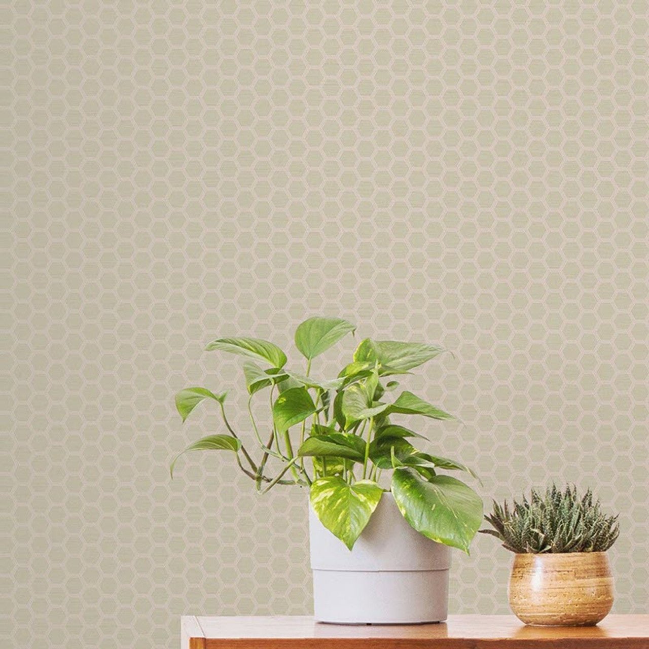 Hexie Astoria Fantasia Wallpaper - Beige/Pink - Ted Baker - 12636 - Premier Wallcovering