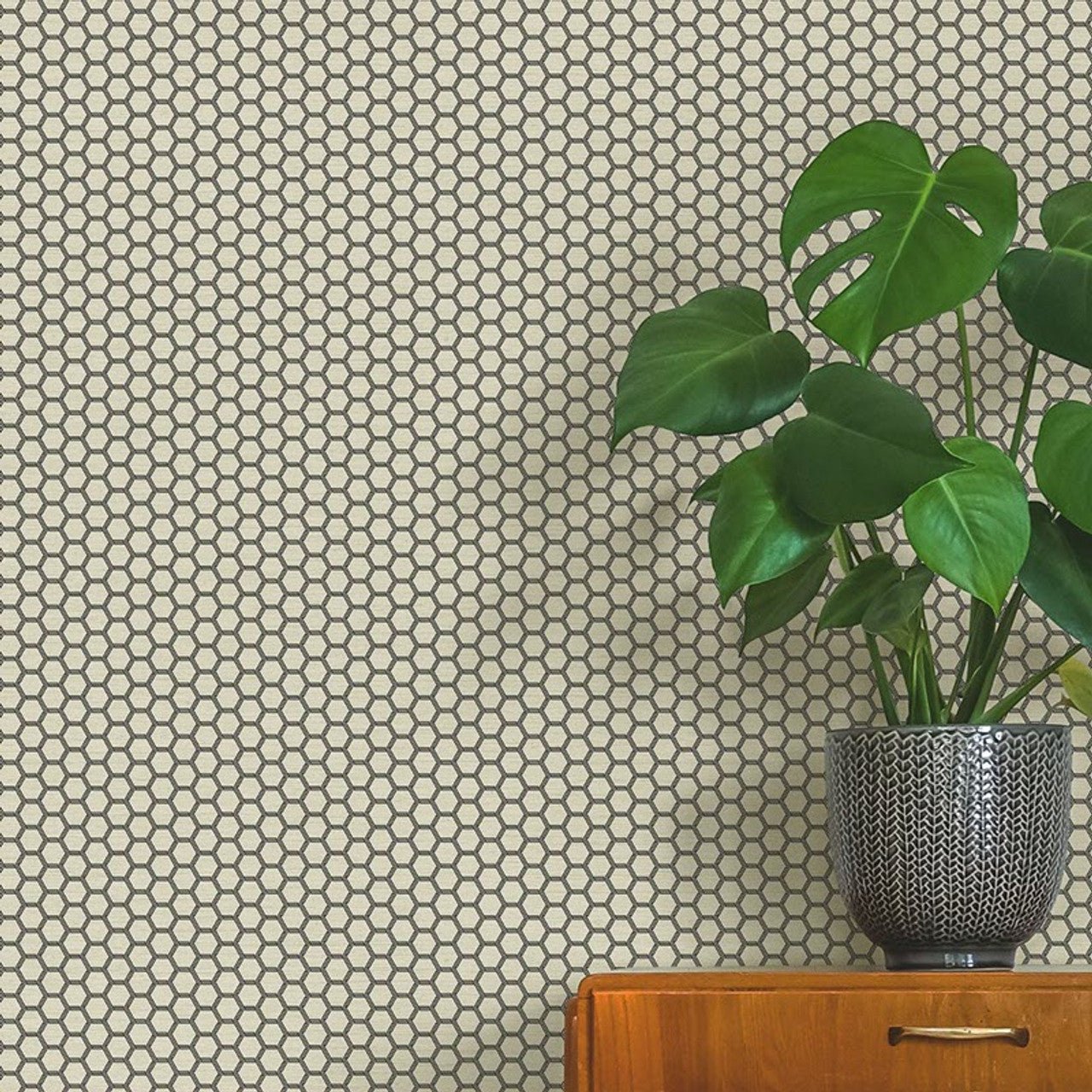 Hexie Astoria Fantasia Wallpaper - Cream - Ted Baker - 12634 - Premier Wallcovering