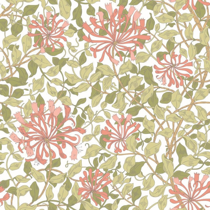 Honeysuckle Leaf Trail Wallpaper - Coral Pink - Hoopla Walls - HWA1075W - Premier Wallcovering