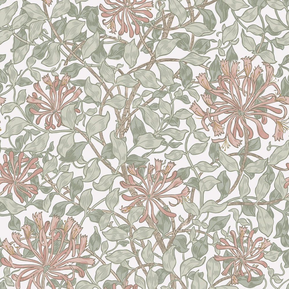 Honeysuckle Wallpaper - Maytime - 140488 - William Morris - Premier Wallcovering