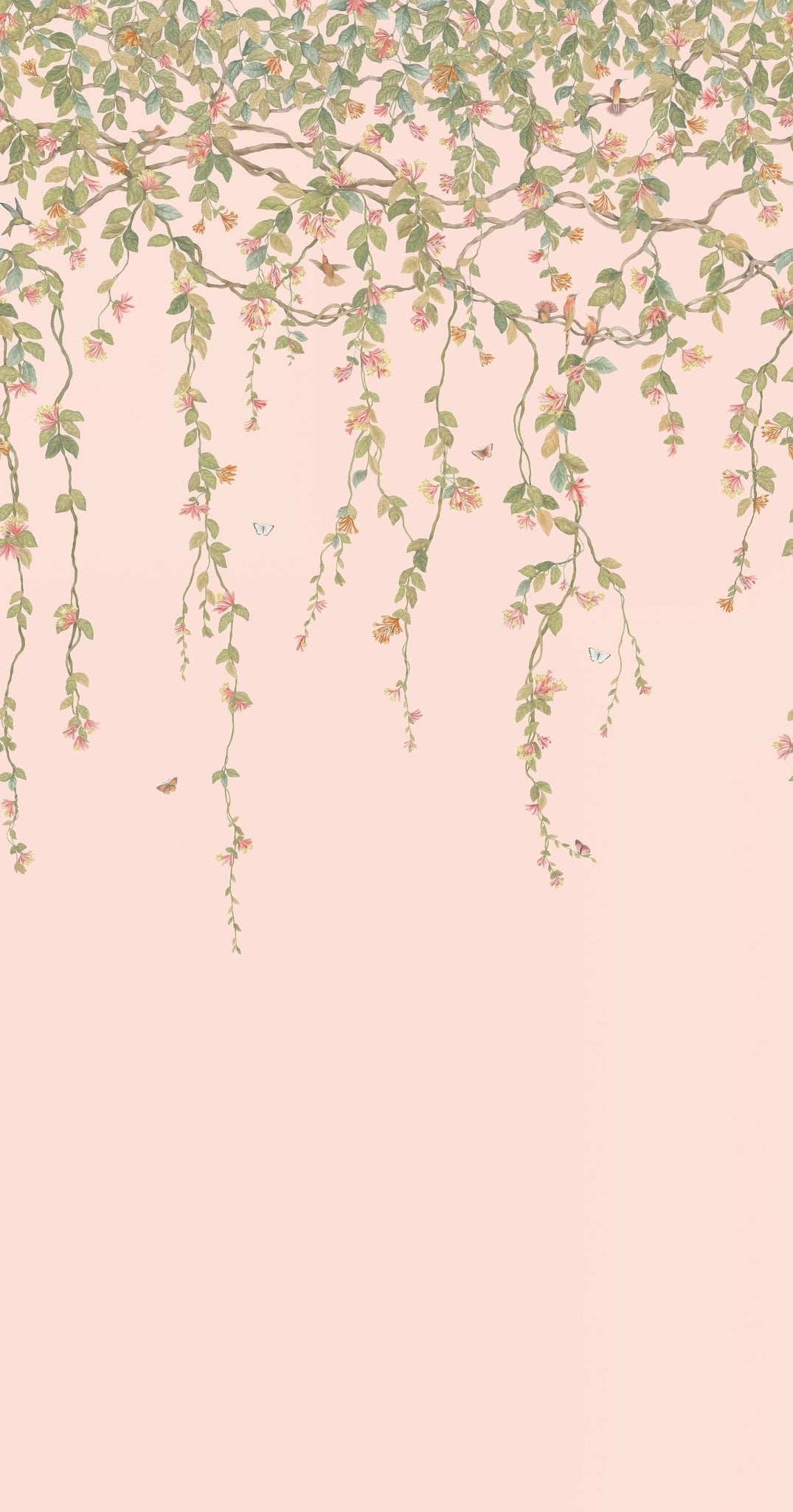 Hummingbirds Flora Wallpaper - Tangerine & Olive on Blush - 124/2009 - Cole & Son - Premier Wallcovering