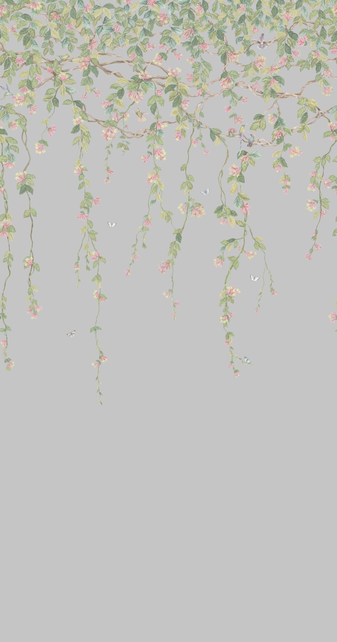 Hummingbirds Flora Wallpaper - Rose & Olive on Grey - 124/2010 - Cole & Son - Premier Wallcovering