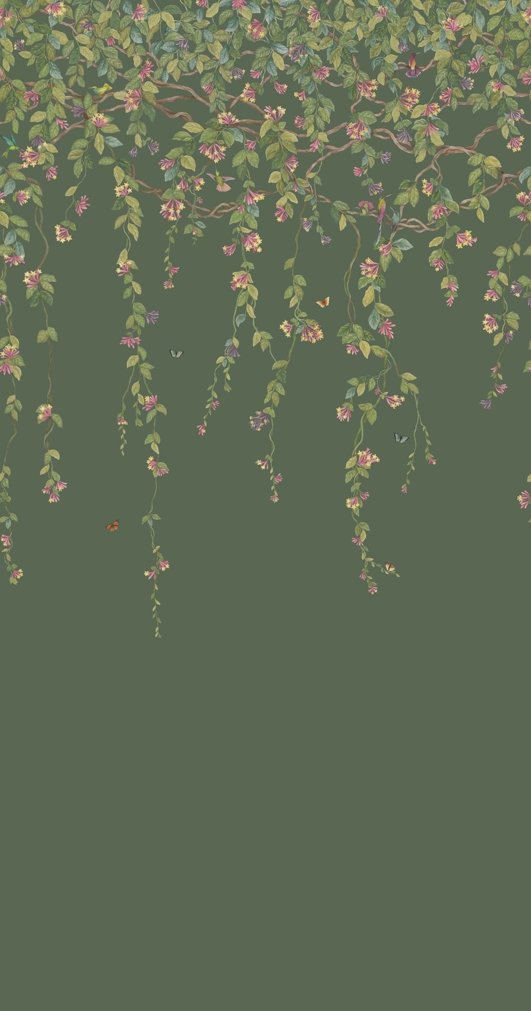 Hummingbirds Flora Wallpaper - Fuchsia on Racing Green - 124/2012 - Cole & Son - Premier Wallcovering