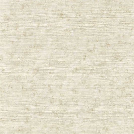 Impression Wallpaper - Charcoal - Clarke & Clarke - W0152/01 - Premier Wallcovering