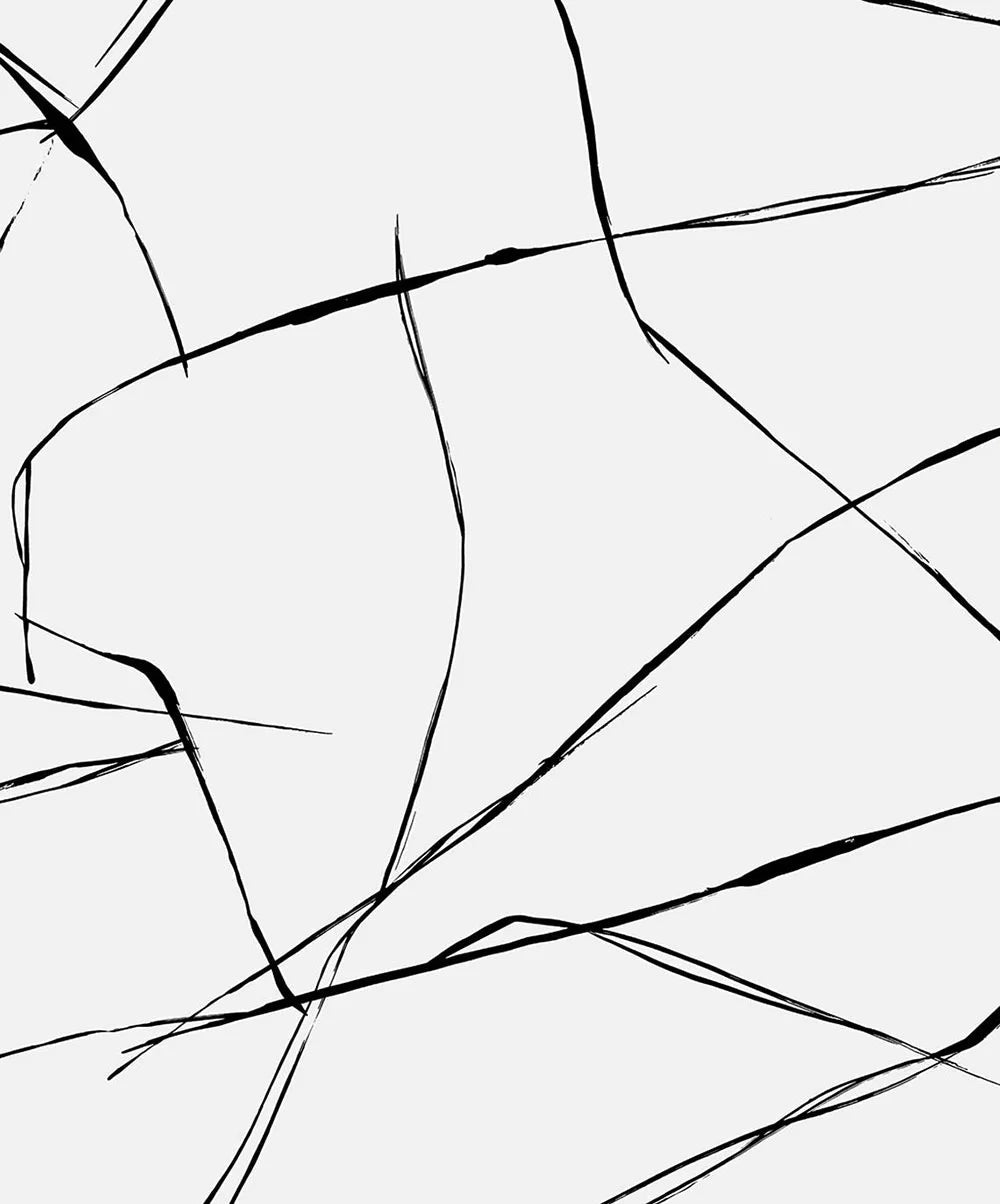 Inkwork Abstract Wallpaper - Ebony & Eggshell - NextWall - NW53200 - Premier Wallcovering
