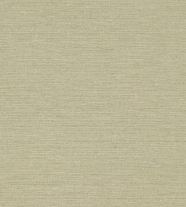 Io Wallpaper - Biscuit - DAEG213047 - Sanderson - Premier Wallcovering