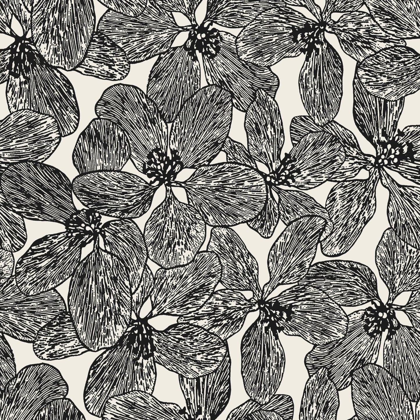 Island Orchid Wallpaper - Black & White - Thibaut - T15848 - Premier Wallcovering