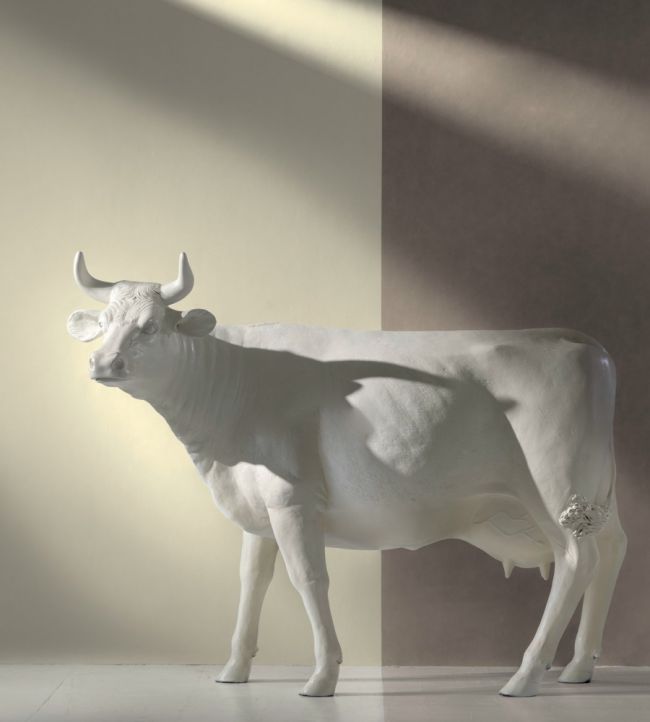 Japan Wallpaper - Ivory - Andrew Martin - JAIVO - Premier Wallcovering