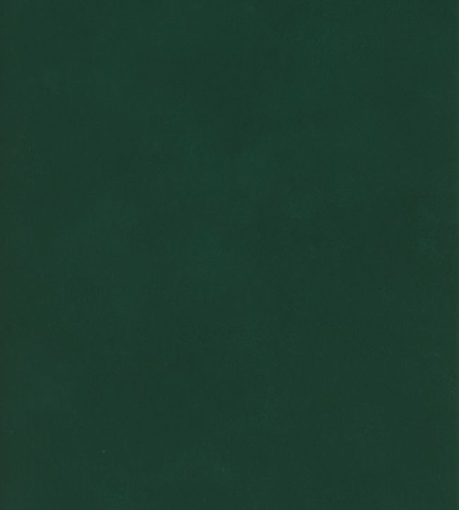 Japan Wallpaper - Baize - Andrew Martin - JABAIZE - Premier Wallcovering