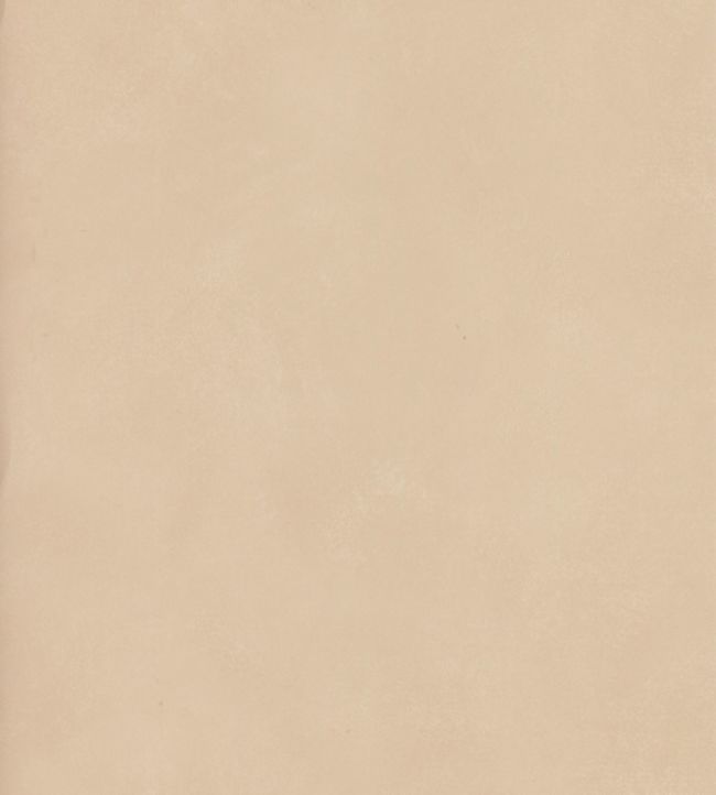 Japan Wallpaper - Flax - Andrew Martin - JAFLAX - Premier Wallcovering