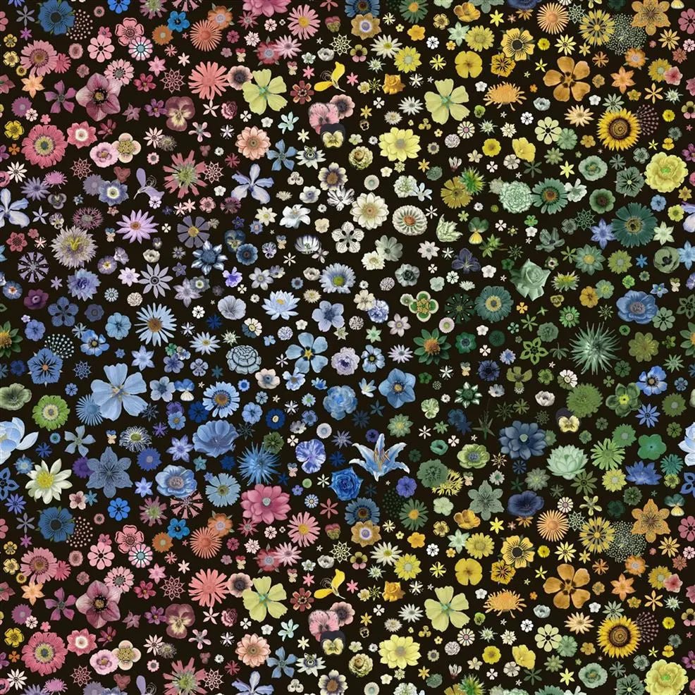 Jardin Des Hesperides Fabric - Multicolore - Christian Lacroix - FCL7060/01 - Premier Wallcovering