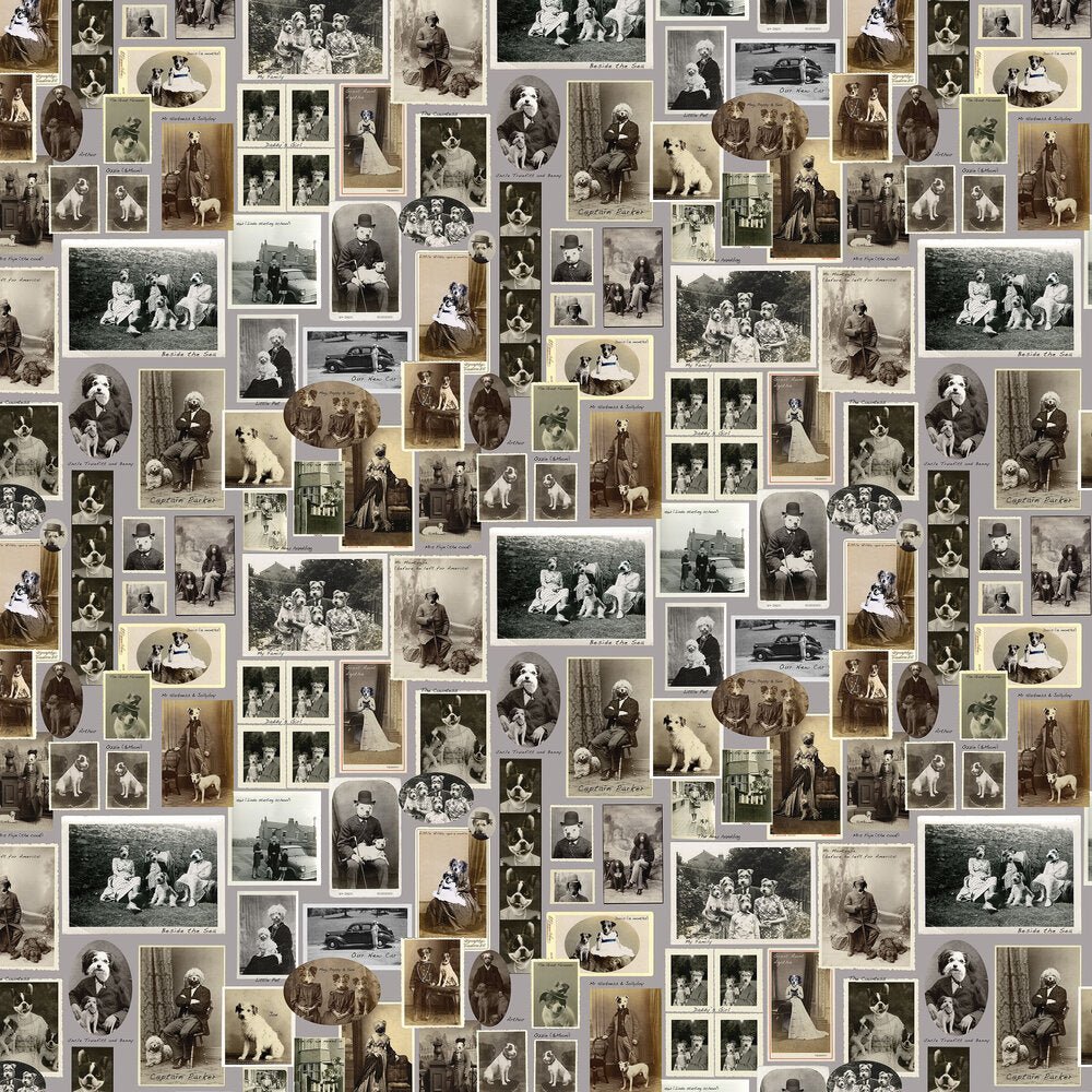 Jolly Boy Wallpaper - French Grey - The Graduate Collection - CC1DODWALG - Premier Wallcovering