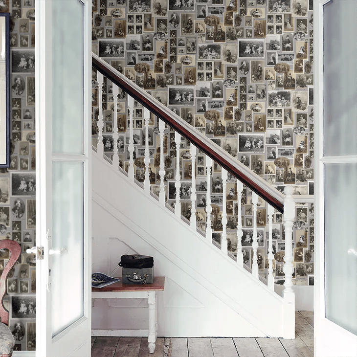 Jolly Boy Wallpaper - French Grey - The Graduate Collection - CC1DODWALG - Premier Wallcovering