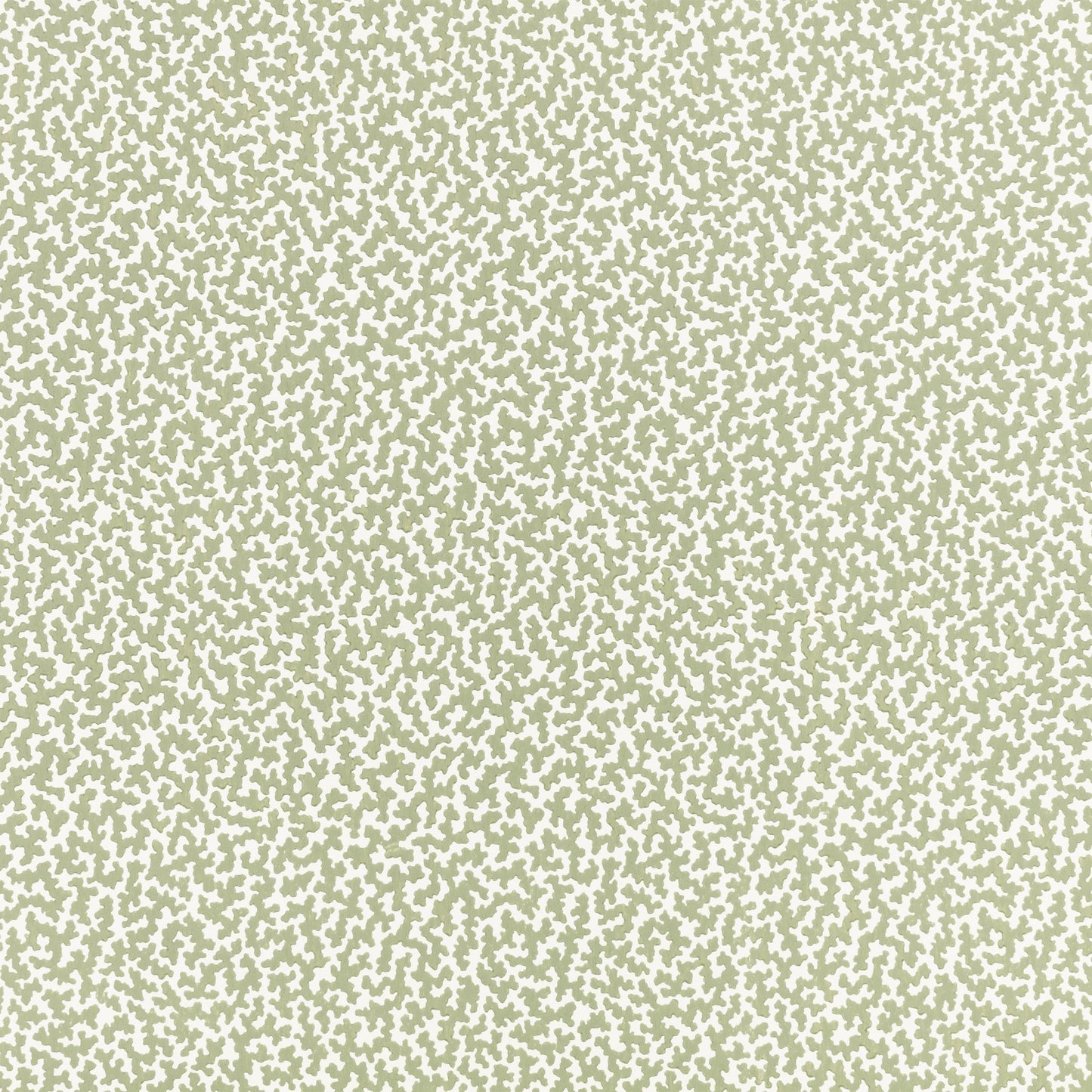 Junie Wallpaper - Aloe - Romo - Aubin - W476/06 - Premier Wallcovering