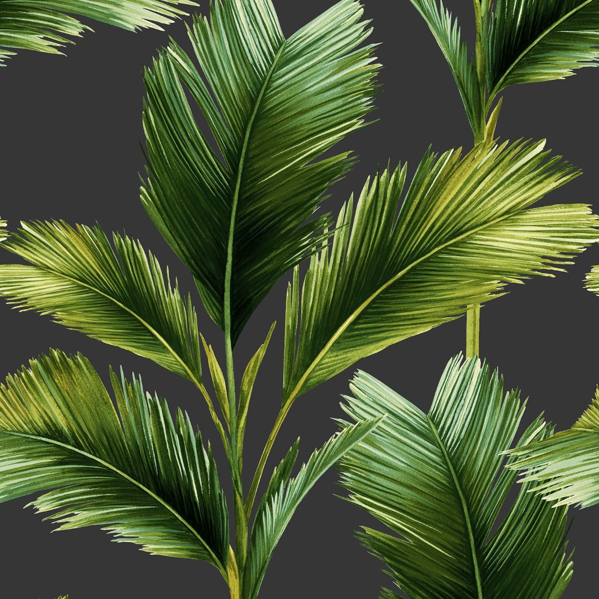 Kailani Leaf Wallpaper - Charcoal / Green - Belgravia - 59115 - Premier Wallcovering