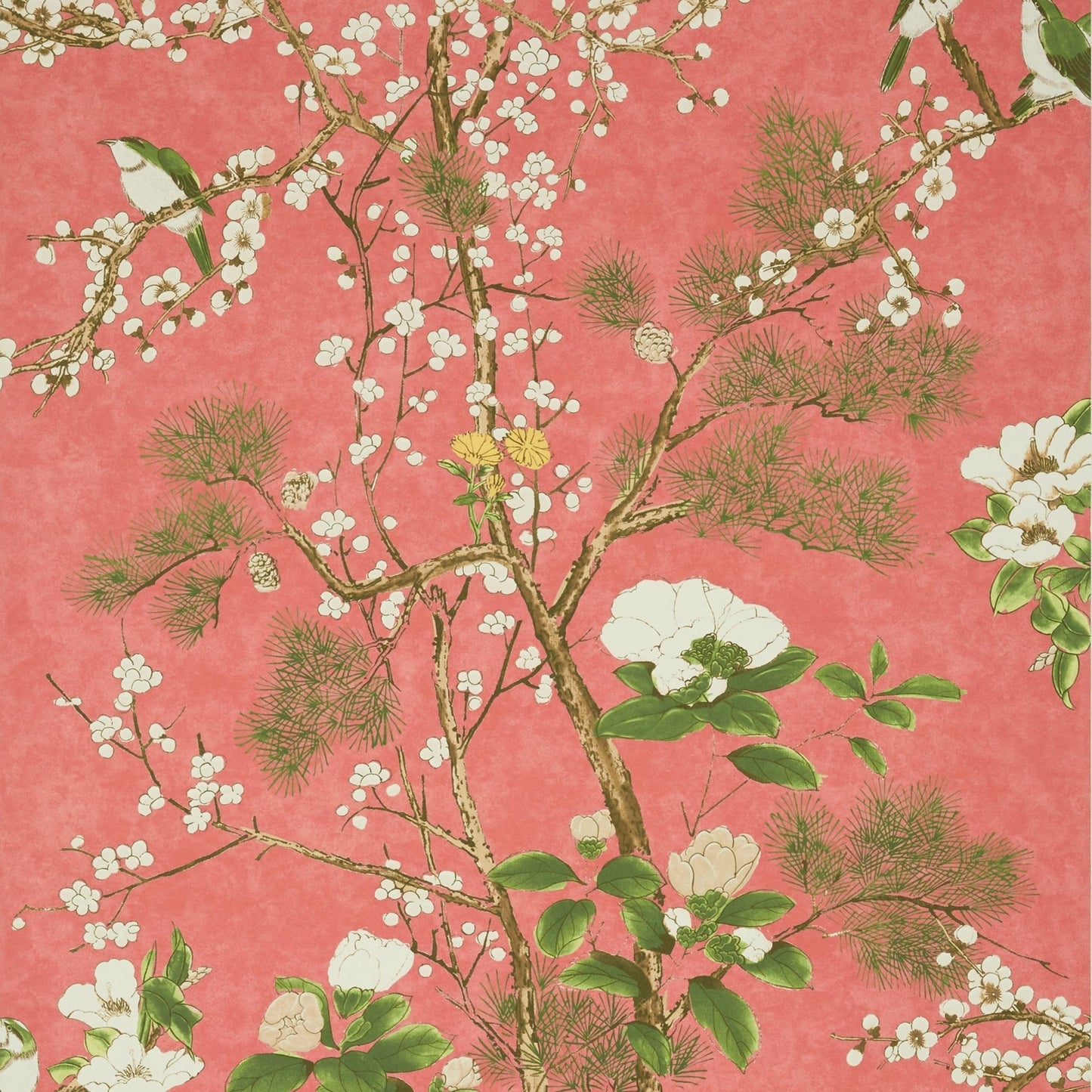 Katsura Wallpaper - Coral - Thibaut - T13624 - Premier Wallcovering