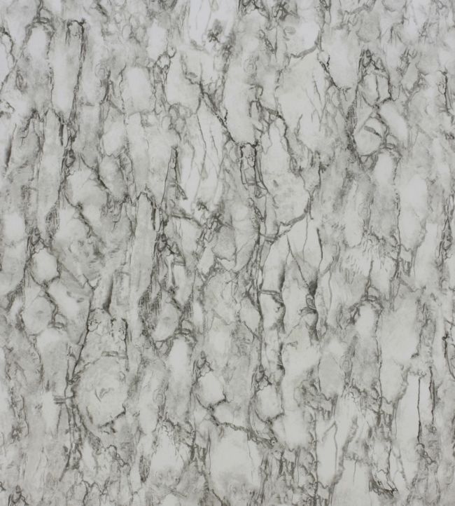 Kershaw Plain Wallpaper - Black/Ivory - Nina Campbell - NCW4204 - 01 - Premier Wallcovering