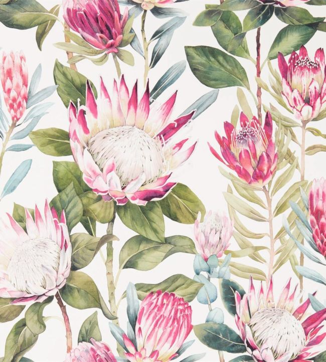 King Protea Wallpaper - Rhodera/Cream - DGLW216646 - Sanderson - Premier Wallcovering