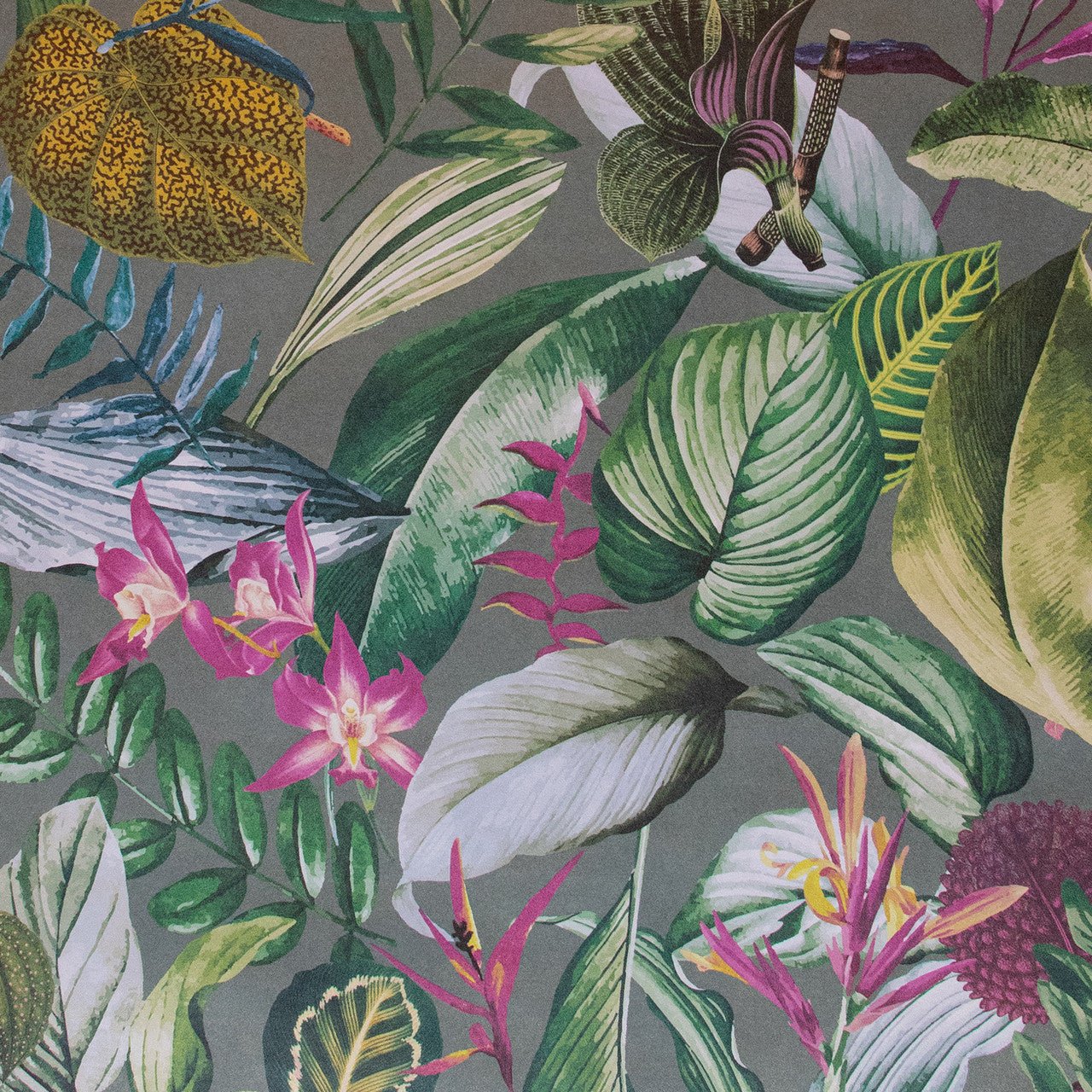 Kiribati Tropical Wallpaper - Watermelon - Hohenberger - 26739 - Premier Wallcovering