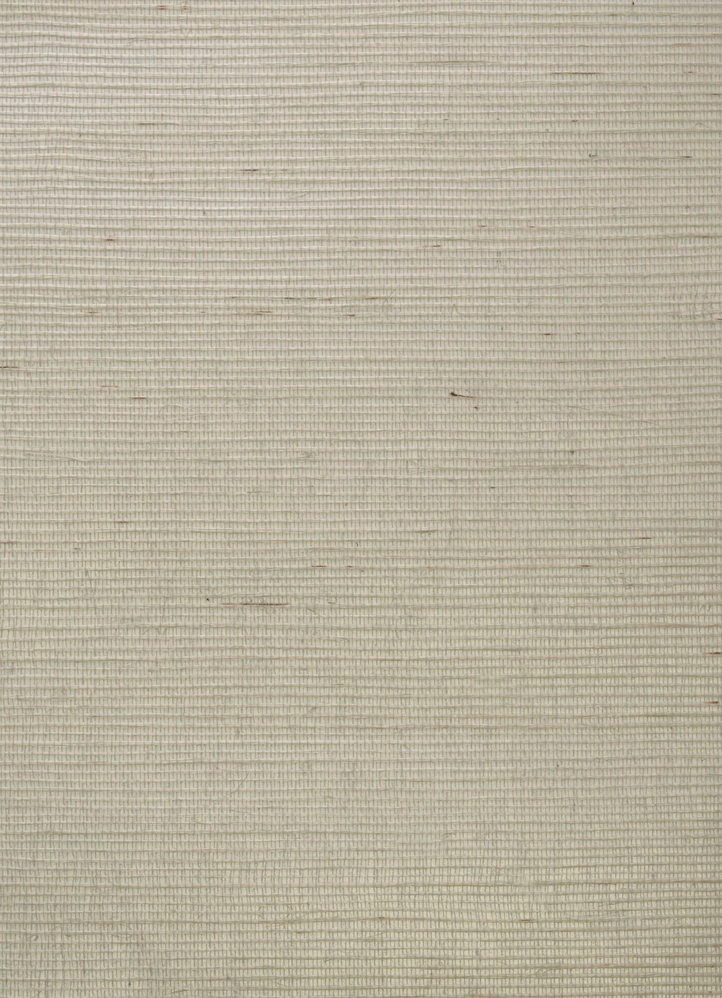 Kongo Wallpaper - Chalk - Andrew Martin - ECKOCH - Premier Wallcovering