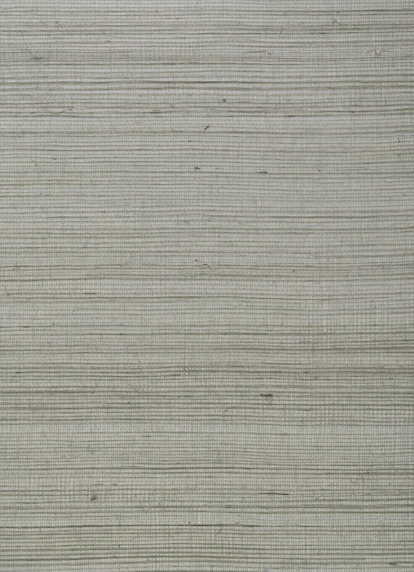 Kongo Wallpaper - Seed - Andrew Martin - ECKOSE - Premier Wallcovering