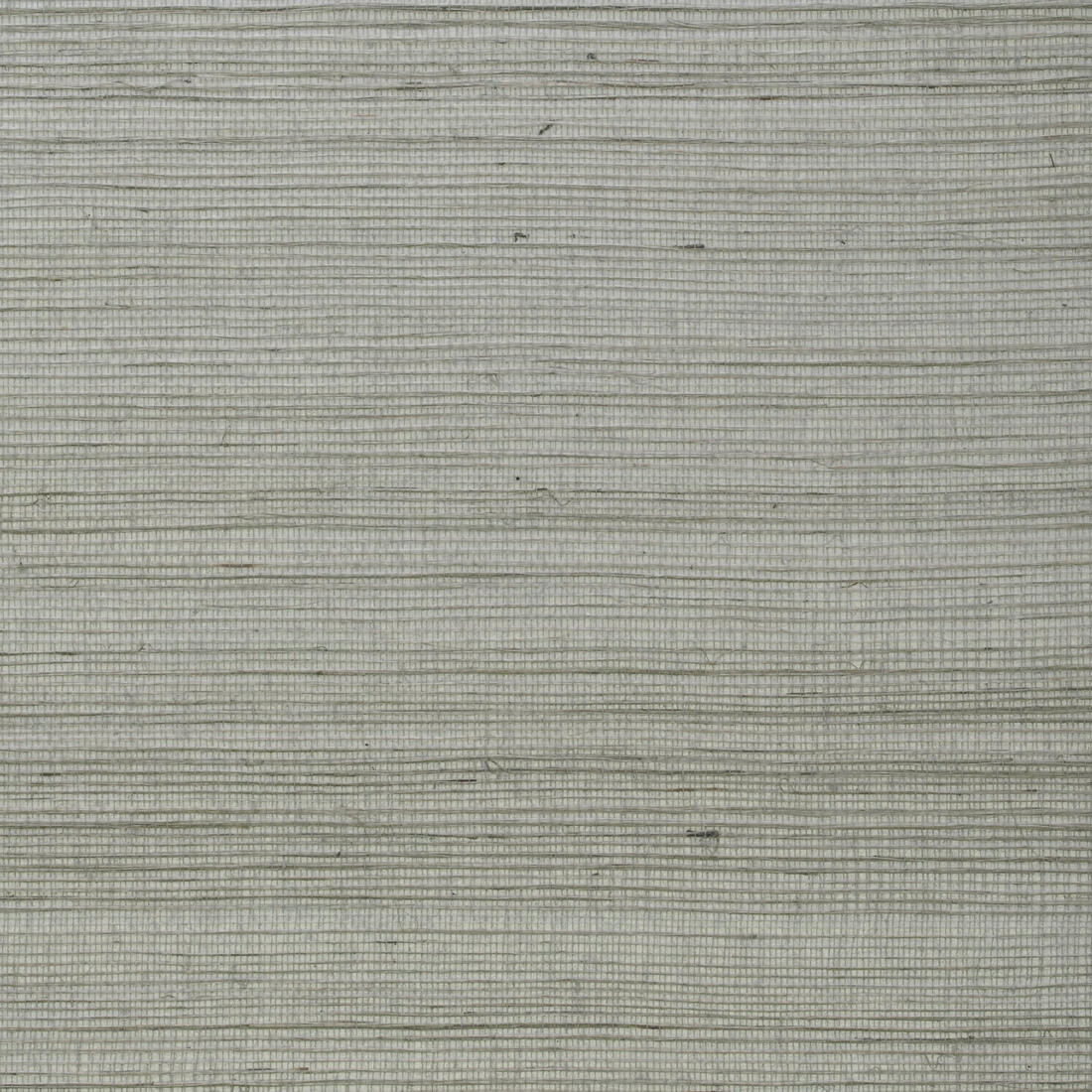 Kongo Wallpaper - Seed - Andrew Martin - ECKOSE - Premier Wallcovering