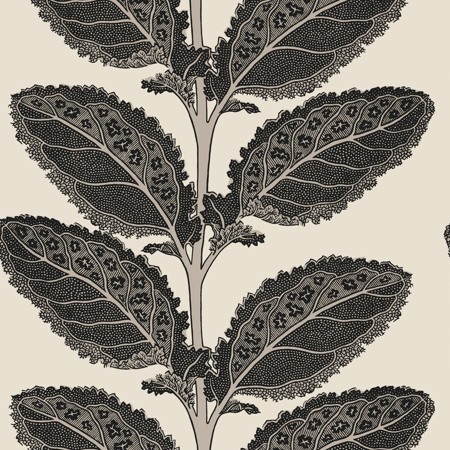 Lacinato Wallpaper - Basalt Black - Thibaut - T12038 - Premier Wallcovering