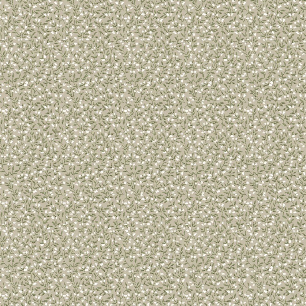 Langham Wallpaper - Soft Fawn - Timothy Wilman - TW2539 - Premier Wallcovering