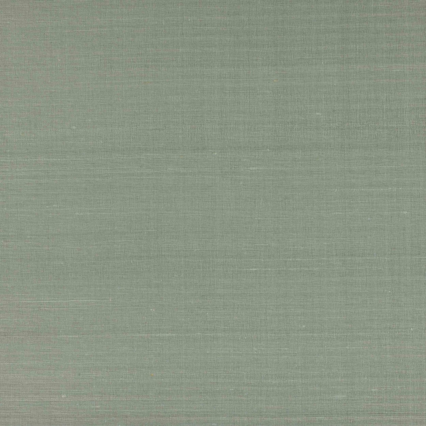 Lazare Fabric - Celadon - Manuel Canovas - M4131-26 - Premier Wallcovering