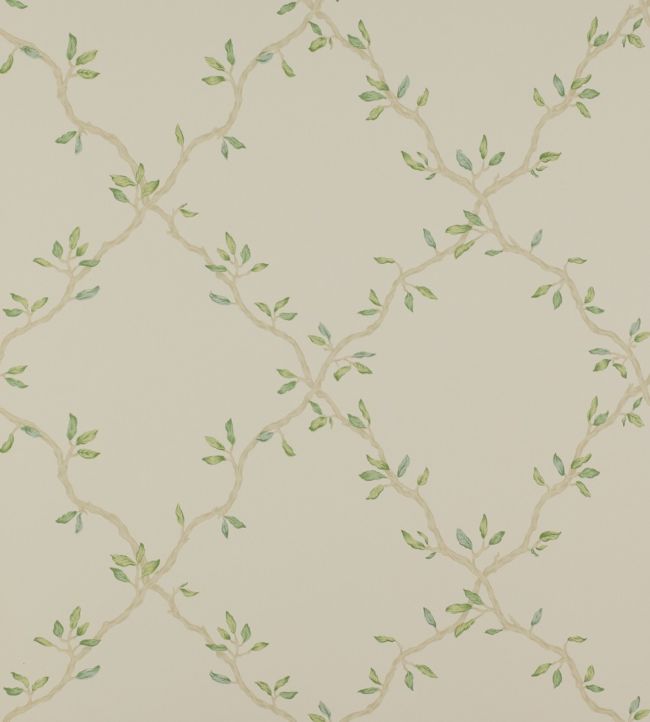 Leaf Trellis Wallpaper - Pale Green - Colefax & Fowler - 07706/02 - Premier Wallcovering