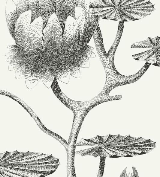 Lily Wallpaper - Black on White - 95/4020 - Cole & Son - Premier Wallcovering