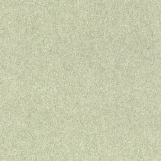 Linares Plain Wallpaper - Green - Rasch - 617368 - Premier Wallcovering