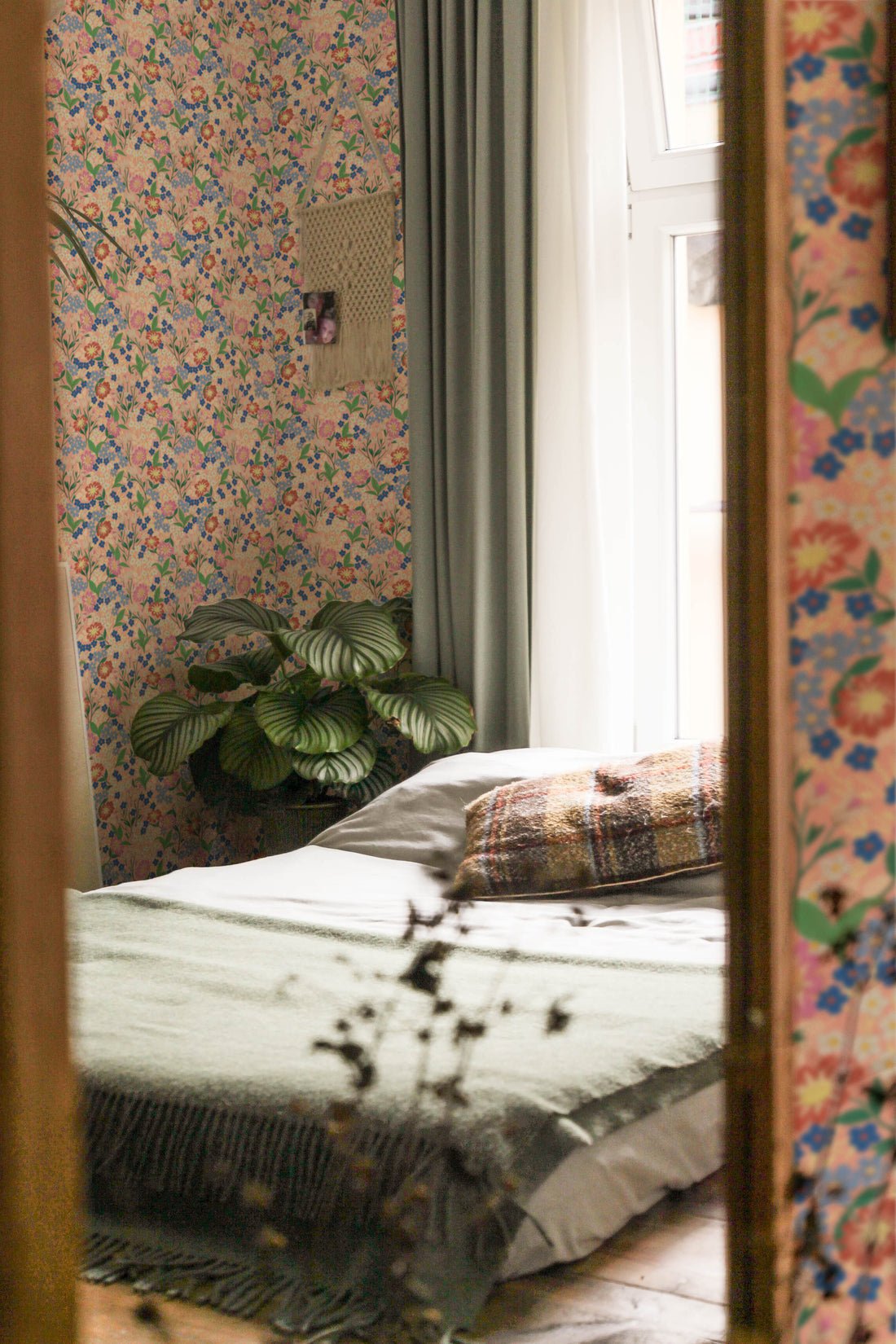 Lola, Petit Wallpaper - Peach - Summer Gray - Premier Wallcovering