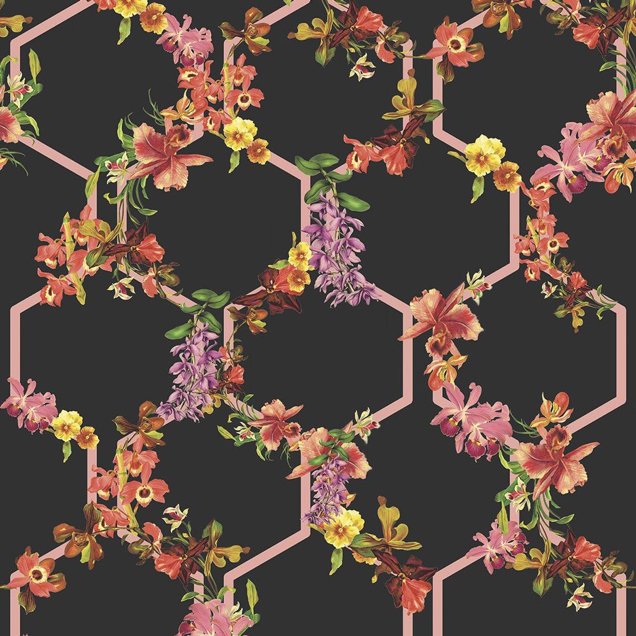 Lost Garden Trelise Fantasia Wallpaper - Black - Ted Baker - 12649 - Premier Wallcovering