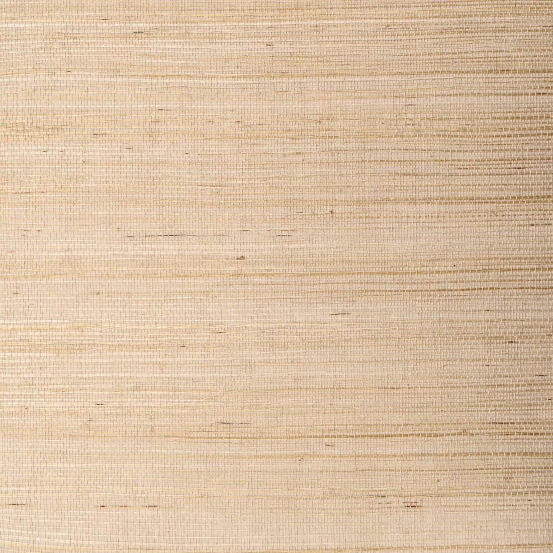 Maasai Wallpaper - Wheat - Andrew Martin - ECMAWH - Premier Wallcovering