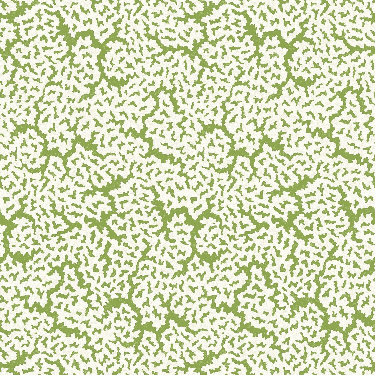 Maldives Wallpaper - Green - Thibaut - T42041 - Premier Wallcovering