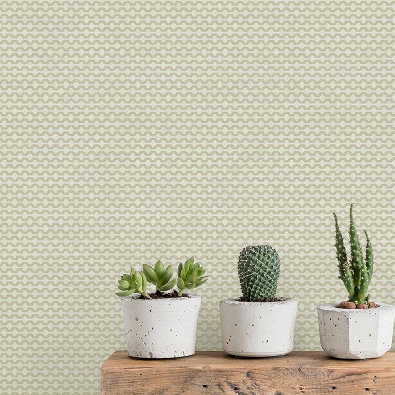 Mano Fantasia Wallpaper - Green - Ted Baker - 12708 - Premier Wallcovering