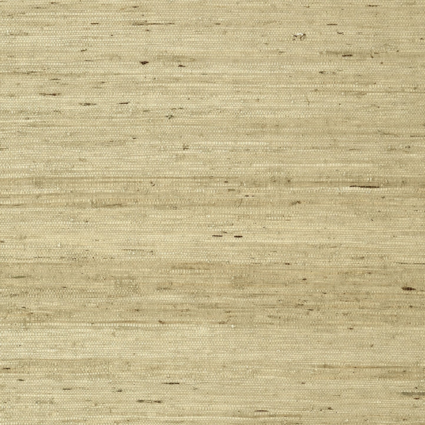 Maranta Arrowroot Wallpaper - Beige - Thibaut - T85006 - Premier Wallcovering