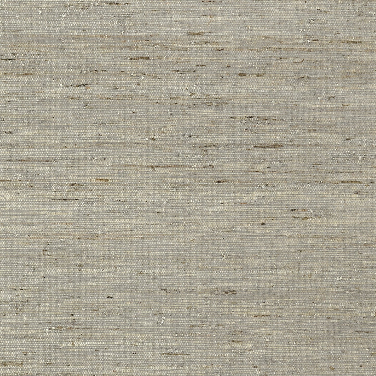 Maranta Arrowroot Wallpaper - Grey - Thibaut - T85005 - Premier Wallcovering