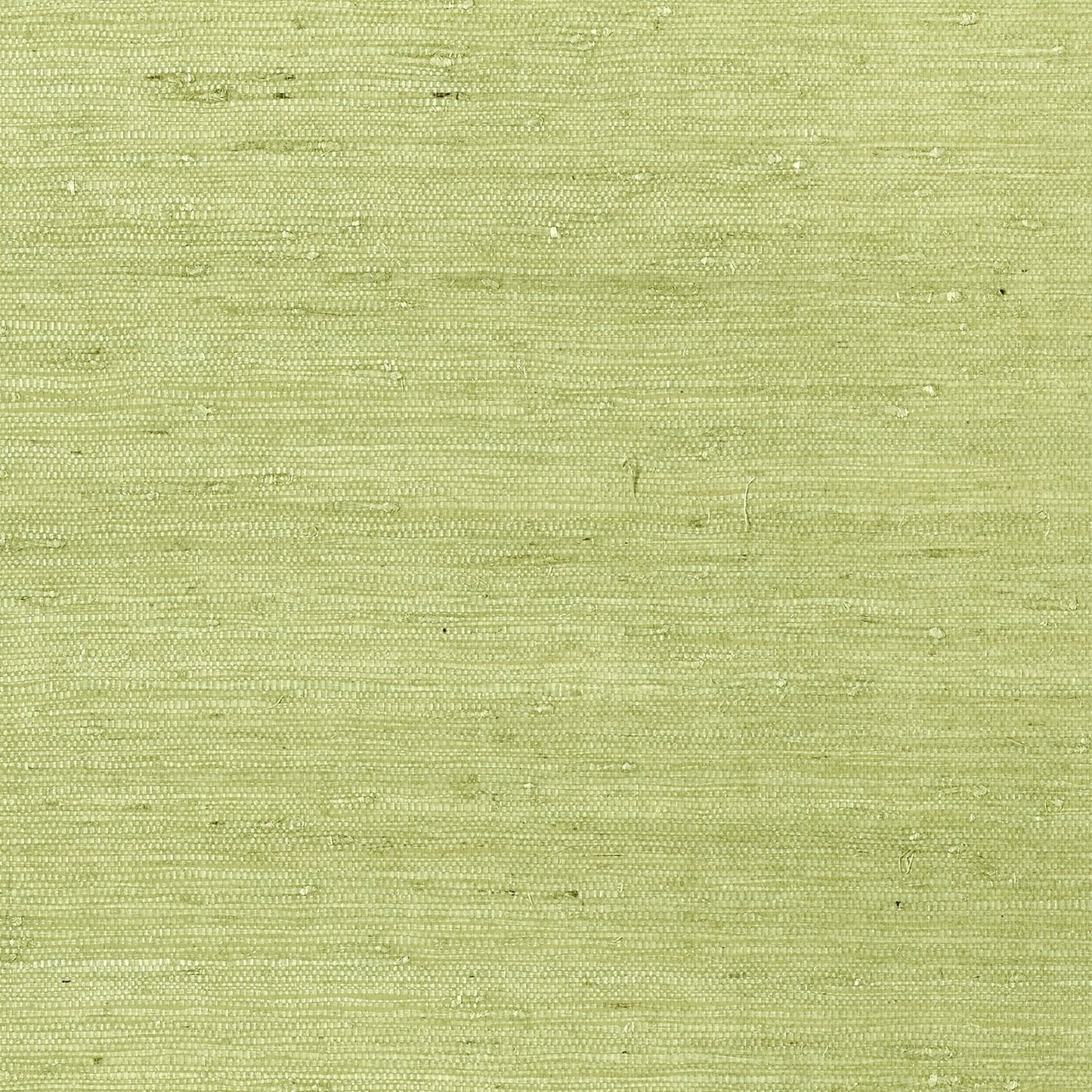Maranta Arrowroot Wallpaper - Green - Thibaut - T85012 - Premier Wallcovering