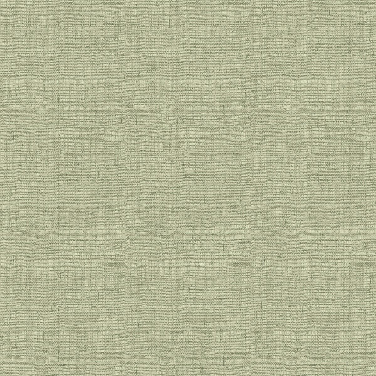 Maya Texture Vinyl Wallpaper - Sage Green - Belgravia - 1729 - Premier Wallcovering