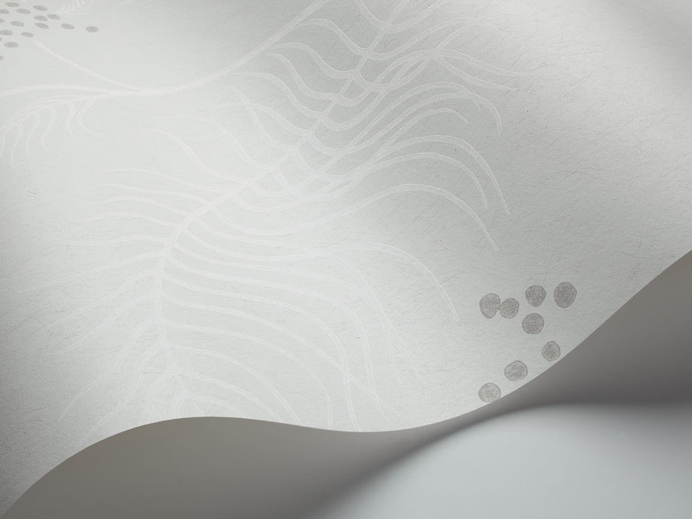 Mimosa Wallpaper - Grey & White on Silver Birch - 69/8133 - Cole & Son - Premier Wallcovering