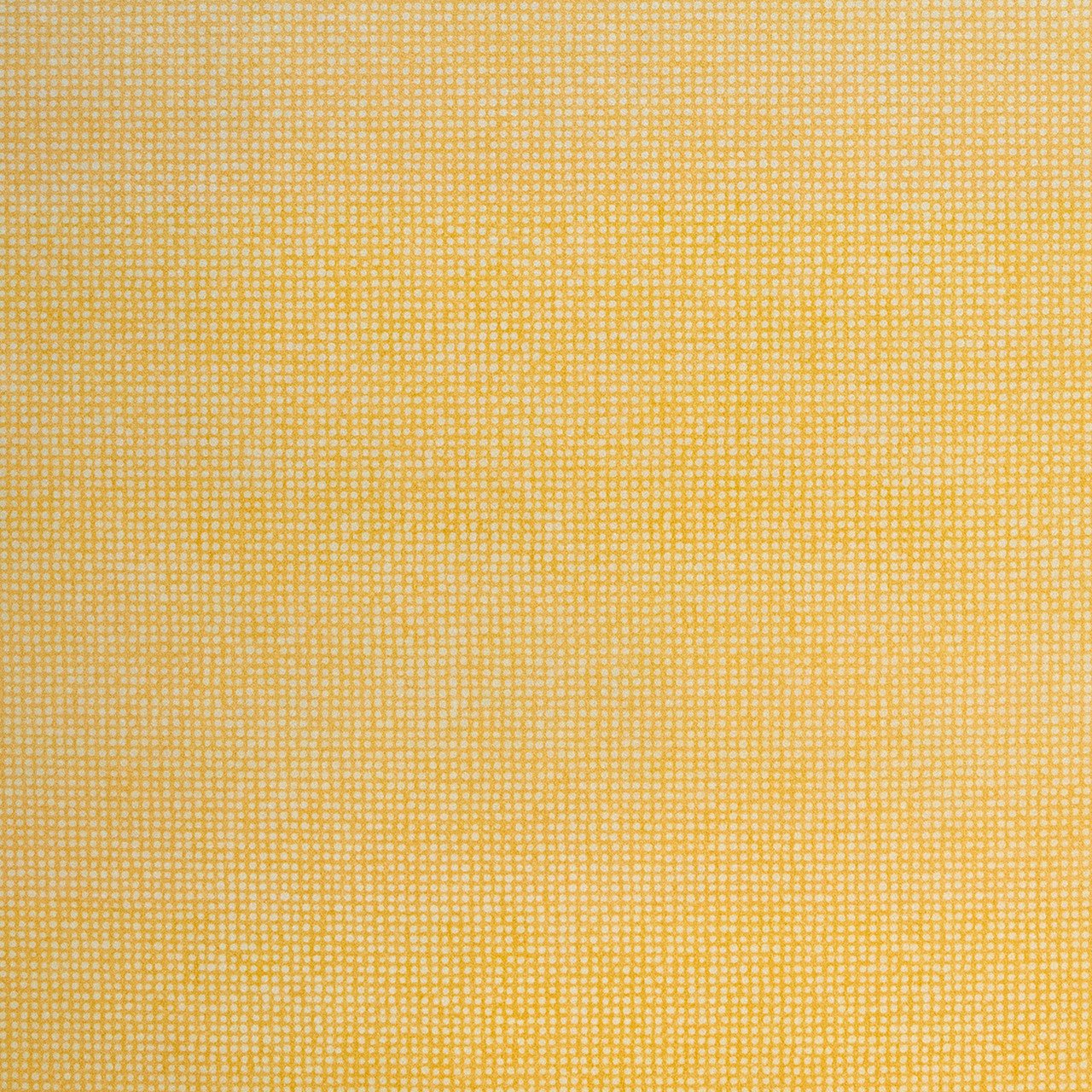 Mini Dots Great Kids Wallpaper - Yellow - Hohenberger - 26807 - Premier Wallcovering