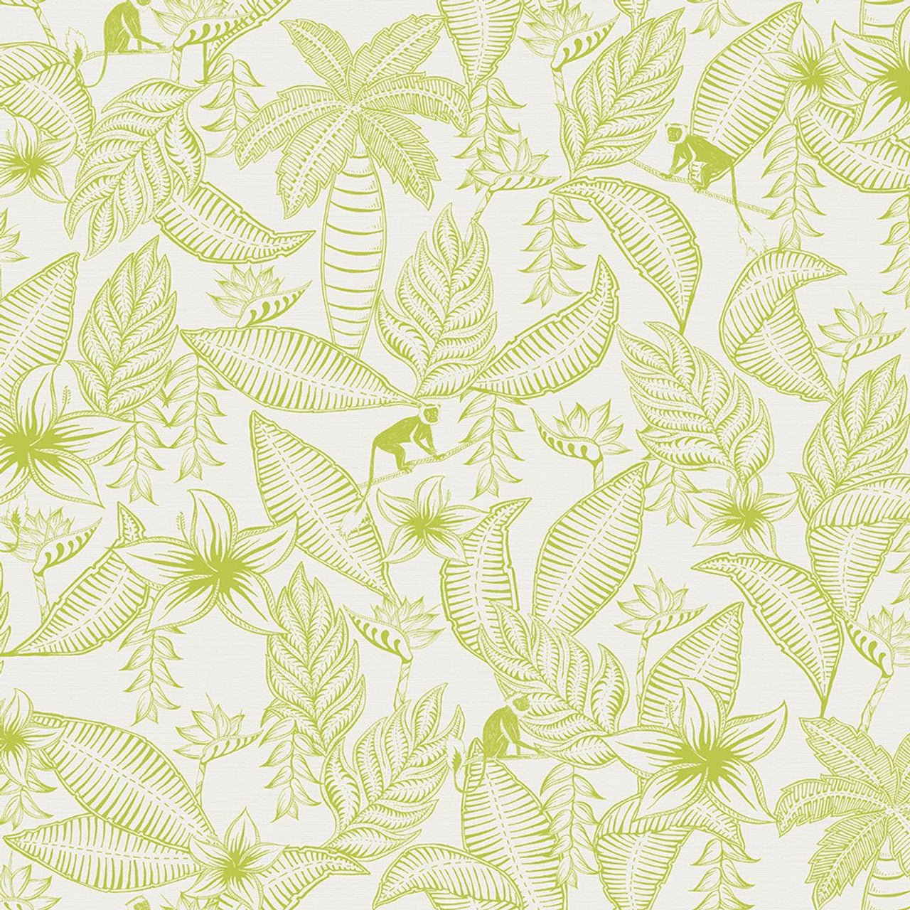 Monflo Fantasia Wallpaper - Green/White - Ted Baker - 12700 - Premier Wallcovering