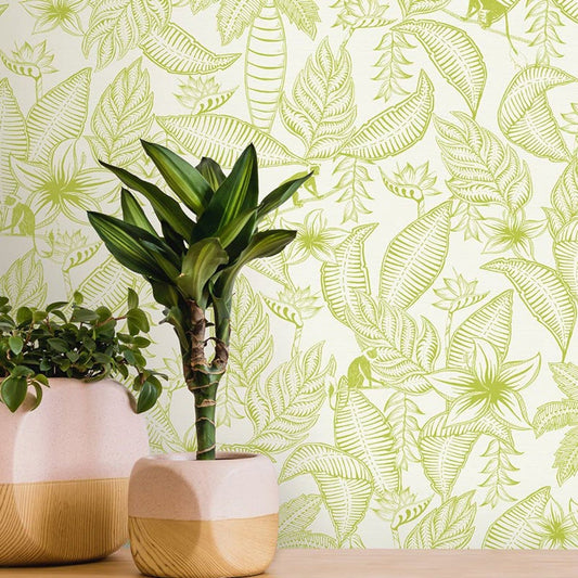 Monflo Fantasia Wallpaper - Green/White - Ted Baker - 12700 - Premier Wallcovering